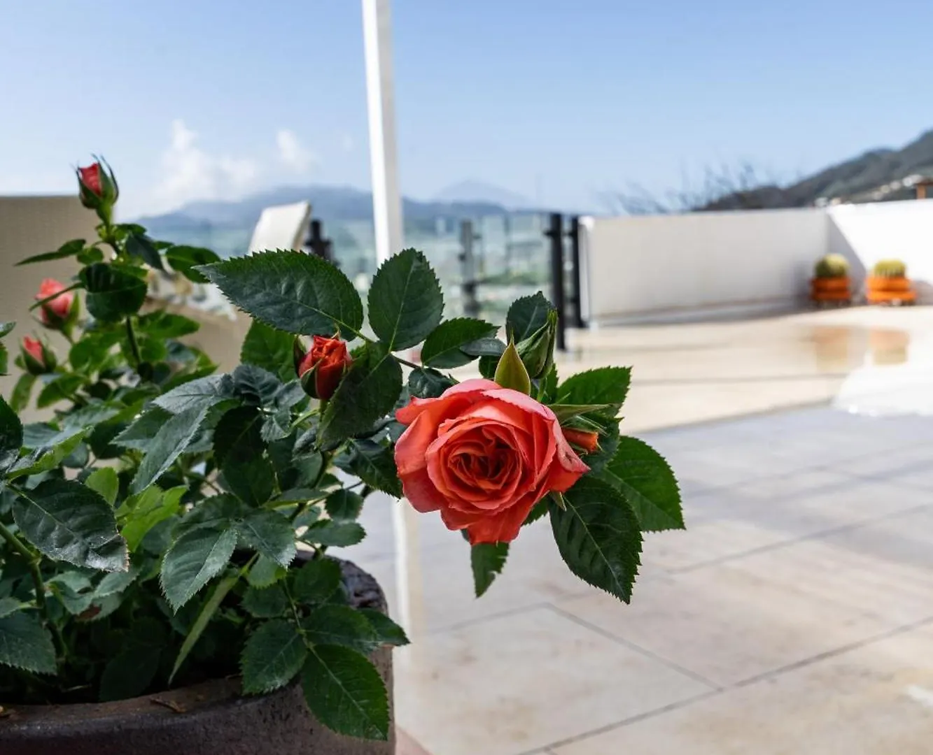 Casa De Limon Villa Cerrogordo 0*,  Spain