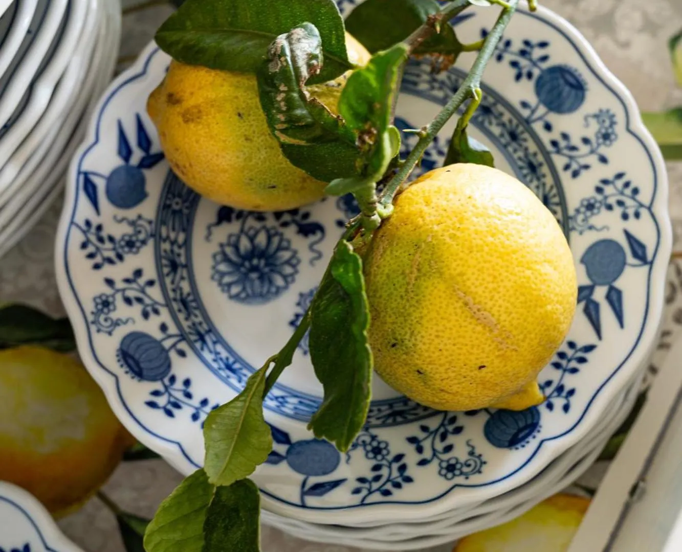 Casa De Limon Villa Cerrogordo Spain